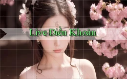Live Điều khoản