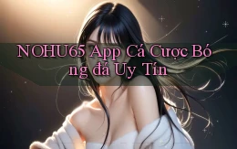 nohu65 app cá cược bóng đá uy tín
