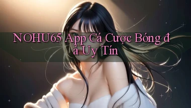 nohu65 app cá cược bóng đá uy tín