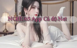 nohu65 app cá độ net