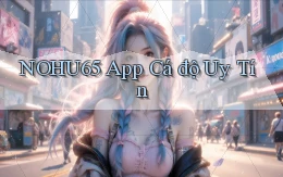 nohu65 app cá độ uy tín