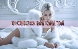 nohu65 bài giải trí