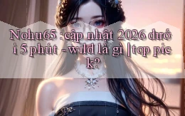 Nohu65 cập nhật 2026 dưới 5 phút   wild là gì top pick