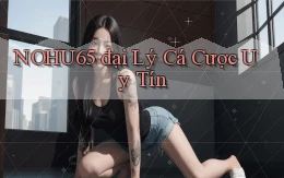 nohu65  đại lý cá cược uy tín