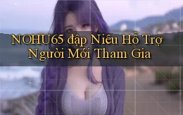 nohu65  đập niêu hỗ trợ người mới tham gia