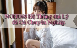 nohu65  hệ thống đại lý đá gà chuyên nghiệp