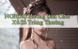 nohu65  hướng dẫn chơi xổ số trúng thưởng