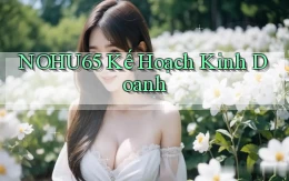 nohu65  kế hoạch kinh doanh