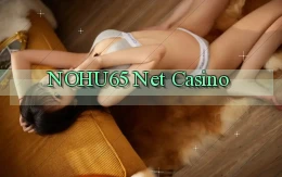 nohu65  net casino