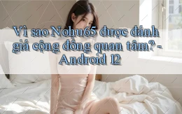 Vì sao Nohu65 được đánh giá cộng đồng quan tâm   Android 12