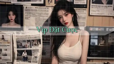 vip Đặt cược